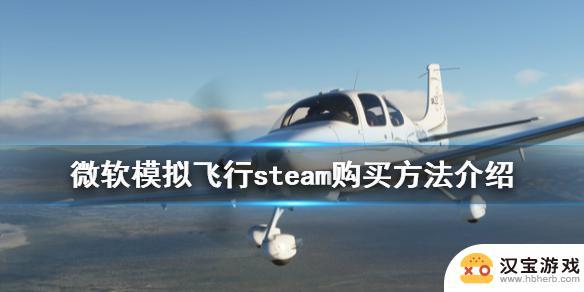 微软模拟飞行2020在steam叫什么名字