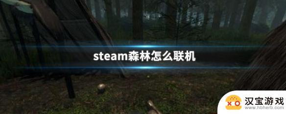 steam森林怎么好友联机