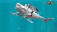 饥饿鲨进化如何用霸王打败巨型螃蟹