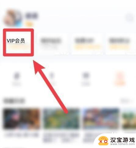 苹果手机怎么打开vip